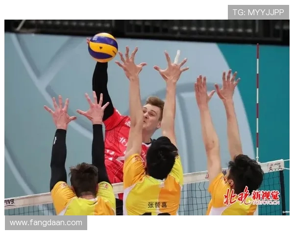 排球意识排行榜揭晓上海排球队荣登第九位引发关注